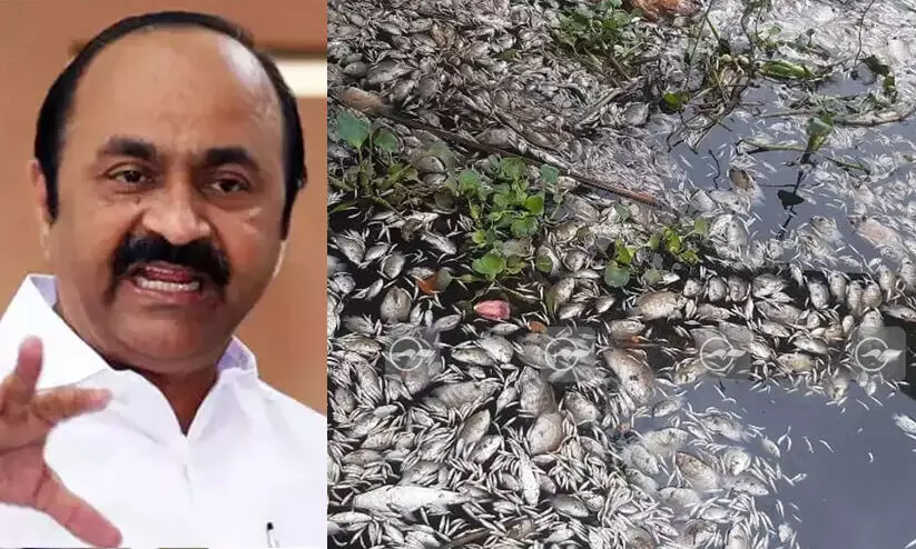 Periyar Fish Death, VD Satheesan