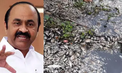 Periyar Fish Death, VD Satheesan