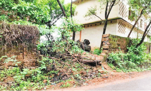 alanallur govt school