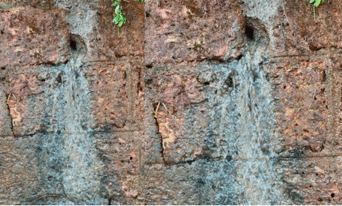 The lodge is packed with guest workers; Toilet waste to the road