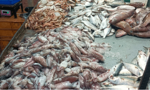 Sale of poisoned fish is widespread; No inspection