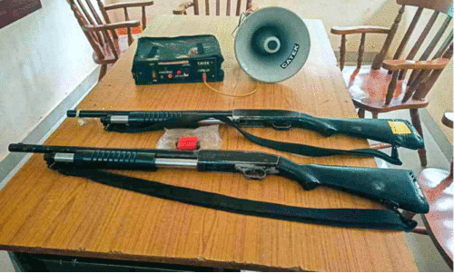 Gun and sound system in Aryankavu to drive away the elephant