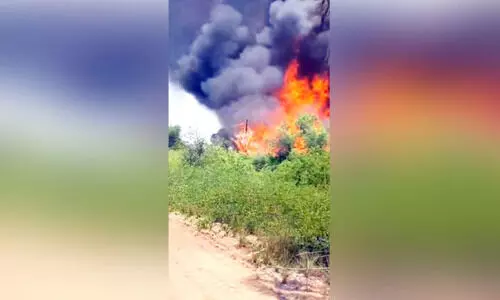 സീ​ബി​ൽ ഫാ​മി​ന്​ തീ​പി​ടി​ച്ചു