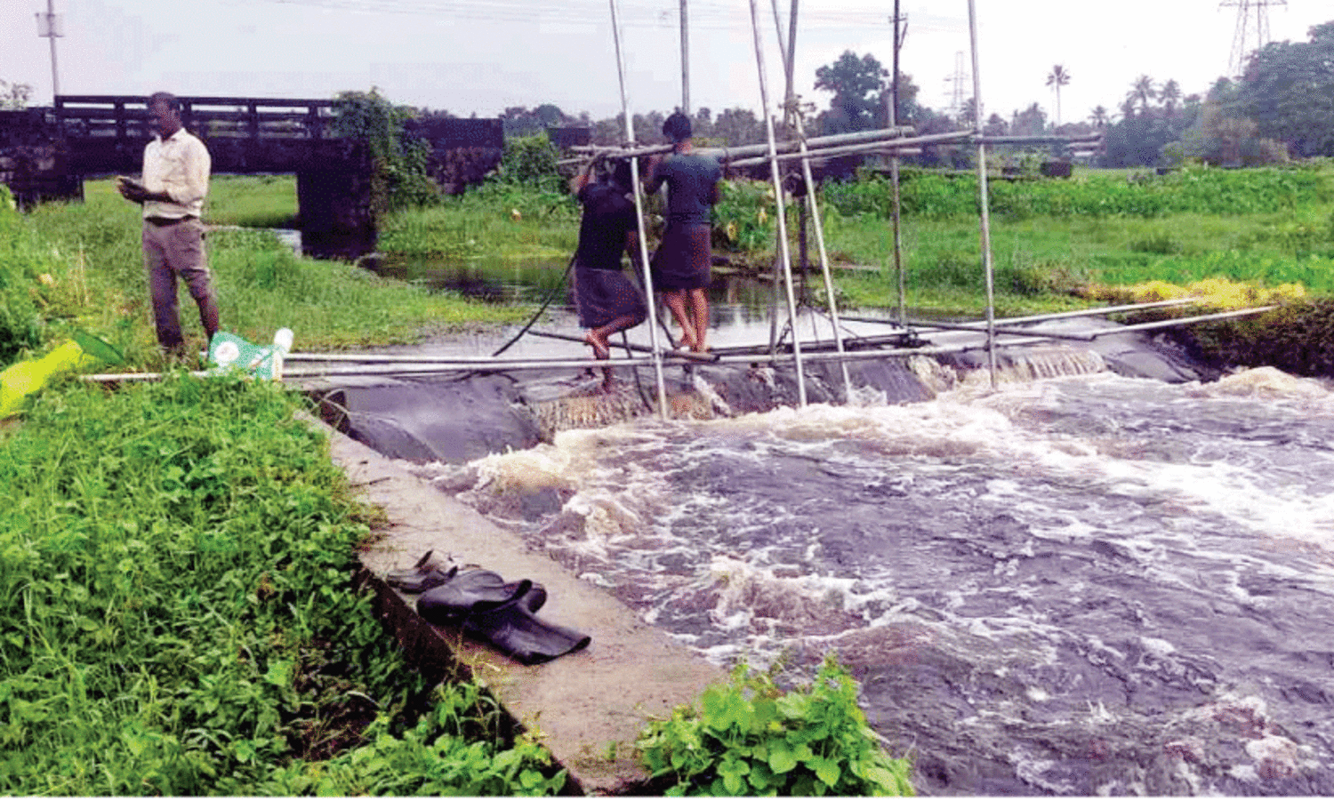 ത​ട​യ​ണയുടെ ഷട്ടർ ഉ​യ​ർ​ത്തി​യ​പ്പോ​ൾ