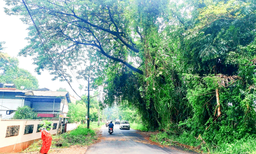 Negligence Negligence