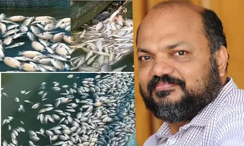 പെരിയാറിൽ മത്സ്യങ്ങൾ ചത്ത സംഭവം: റിപ്പോർട്ടിന്റെ അടിസ്ഥാനത്തിൽ തുടർ നടപടിയെന്ന് പി. രാജീവ്