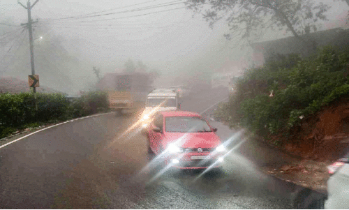 നാ​ടു​കാ​ണി​യി​ൽ വ​ന്നാ​ൽ കാ​ണാം...  ക​ണ്ണു​പൊ​ത്തു​ന്ന കോ​ട​മ​ഞ്ഞ്