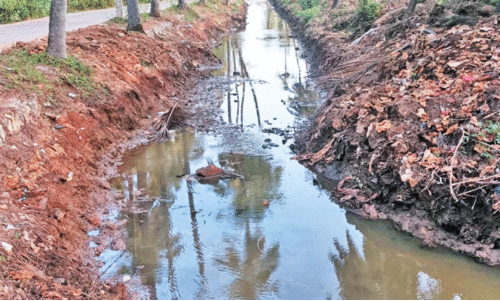 മു​ജിമു​ടി തോ​ട്