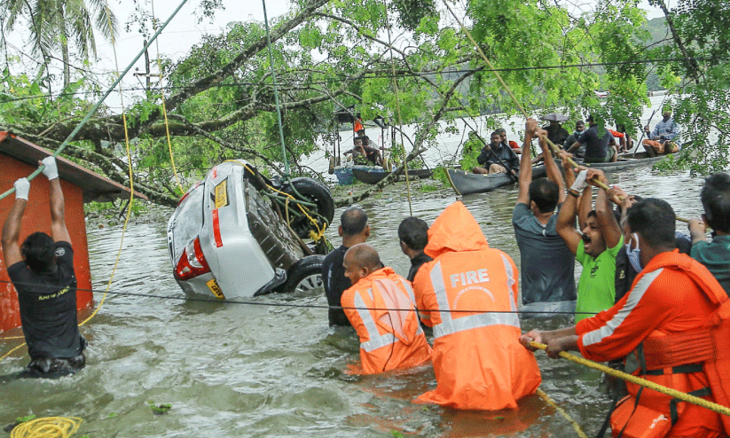 Summer rain Summer rain