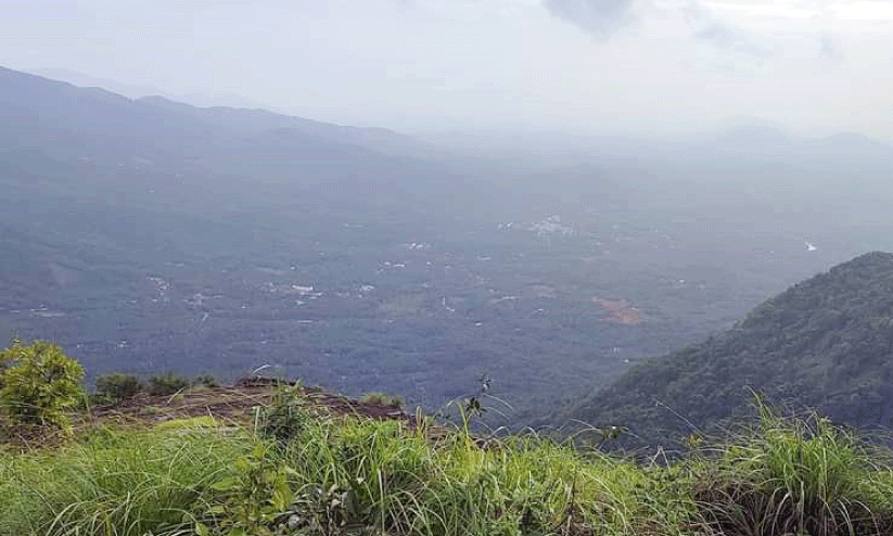 പാലുകാച്ചിമല