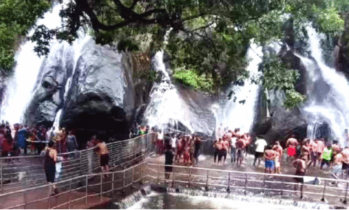 കു​റ്റാ​ലം