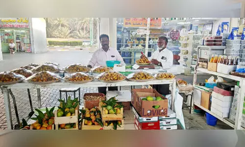 റു​ത​ബ് എത്തി; ഈത്തപ്പഴ സീസണിന് തുടക്കം