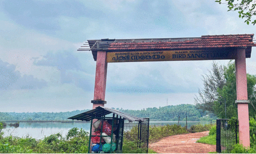 munderi bird sanctuary