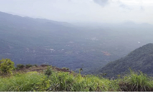 പാലുകാച്ചിമല