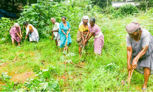 agriculture sector agriculture sector