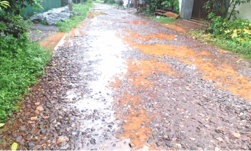 Vedaraplav School Junction