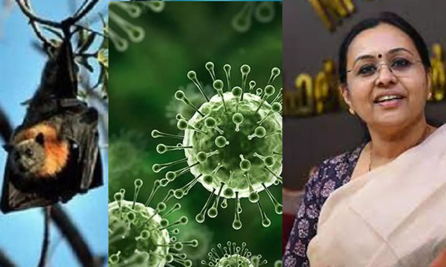 നിപ പ്രതിരോധത്തിന് പ്രത്യേക കലണ്ടര്‍ തയാറാക്കുമെന്ന് വീണ ജോര്‍ജ്