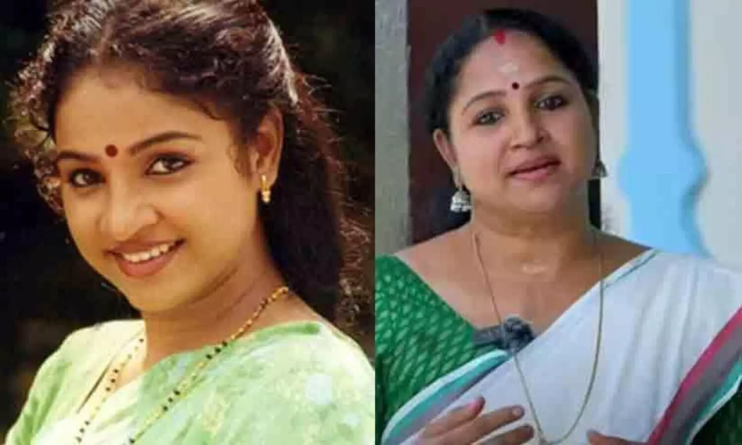 Mammootty s  Dada  Sahib Movie  Actress  Reveals bad Incident Movie