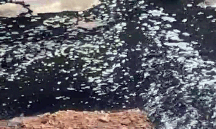 അ​ഴു​ക്കു​ചാ​ൽ