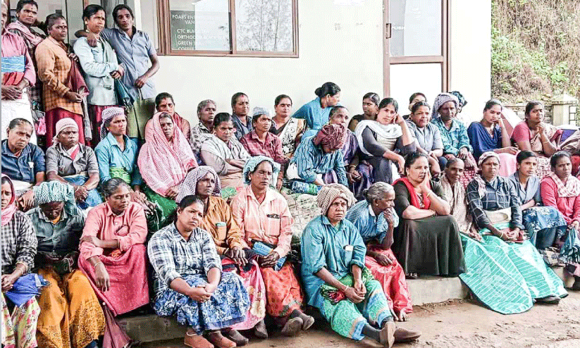 Vandiperiyar Pobs Estate,