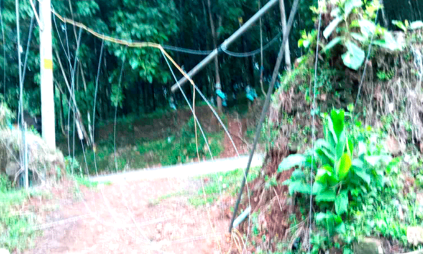 Wild elephant attack,