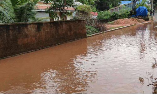 waterlogging waterlogging