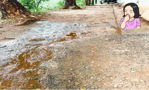 Idukki Medical College Idukki Medical College