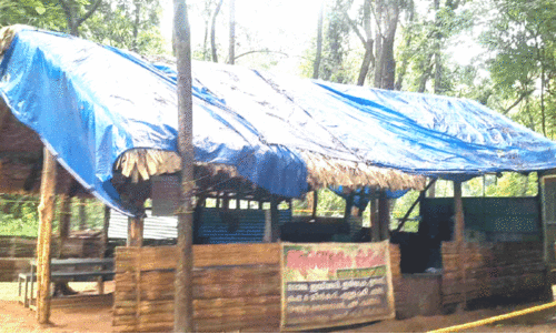 Atavi Kuttavanchi Savari Kendram