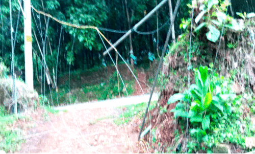 Wild elephant attack,