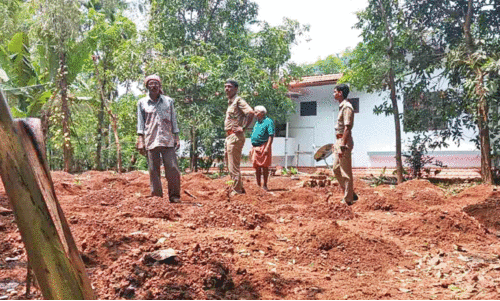 wild elephant menace