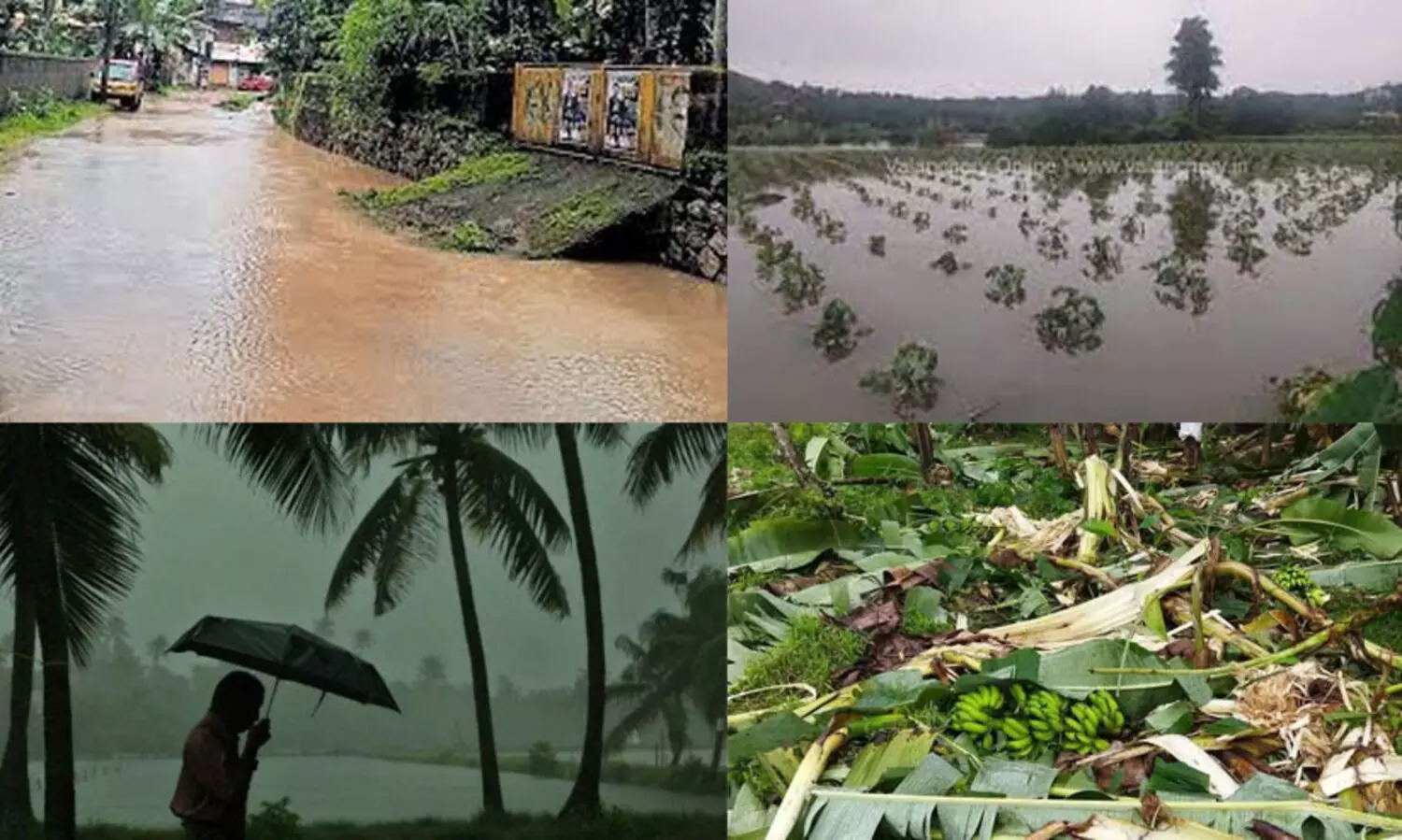 ഉഷ്ണതരംഗം, മഴക്കെടുതി: കൃഷിനാശനഷ്ട പരിഹാരത്തിന് അപേക്ഷിക്കാം