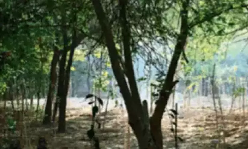 Forest land seized by the forest department in Bengaluru