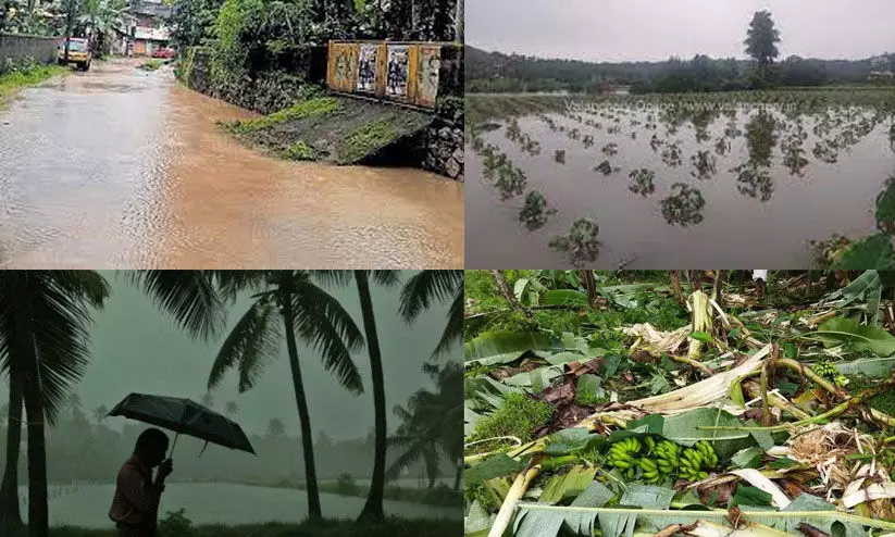 ഉഷ്ണതരംഗം, മഴക്കെടുതി: കൃഷിനാശനഷ്ട പരിഹാരത്തിന് അപേക്ഷിക്കാം