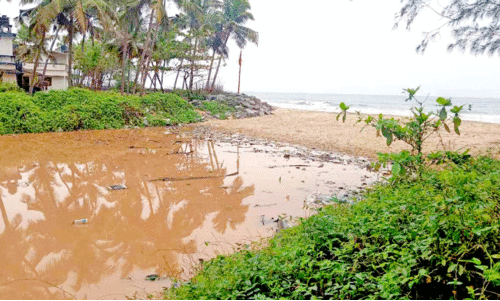 തോട് തോട്