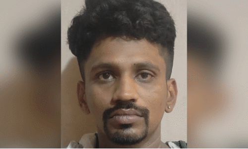 സ​ൽ​നി​ത്ത്