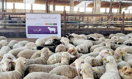 ഖ​ത്ത​ർ റെ​ഡ്ക്ര​സ​ന്റ് ‘അ​ദാ​ഹി’ കാ​മ്പ​യി​ന് തു​ട​ക്ക​മാ​യി