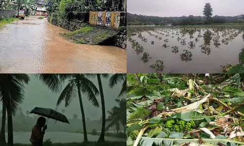 ഉഷ്ണതരംഗം, മഴക്കെടുതി: കൃഷിനാശനഷ്ട പരിഹാരത്തിന് അപേക്ഷിക്കാം