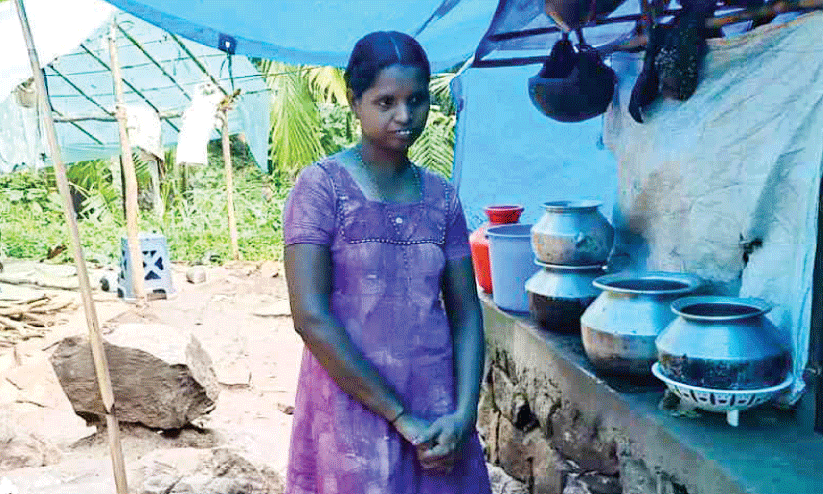 tribal family tribal family