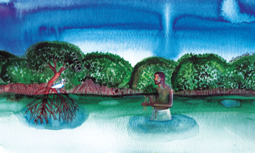 കണ്ടൽപച്ചയുടെ പാലം കണ്ടൽപച്ചയുടെ പാലം