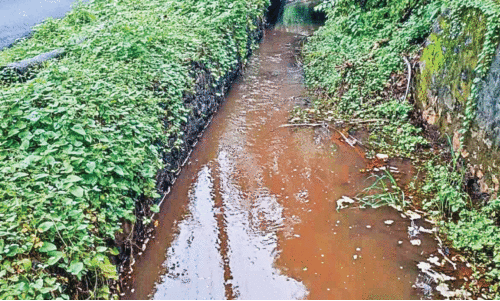 തോട് തോട്