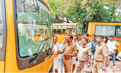 school bus school bus