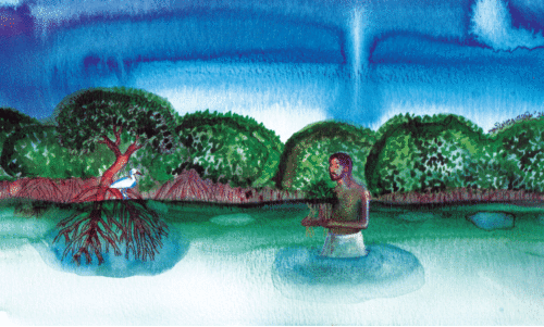 കണ്ടൽപച്ചയുടെ പാലം കണ്ടൽപച്ചയുടെ പാലം