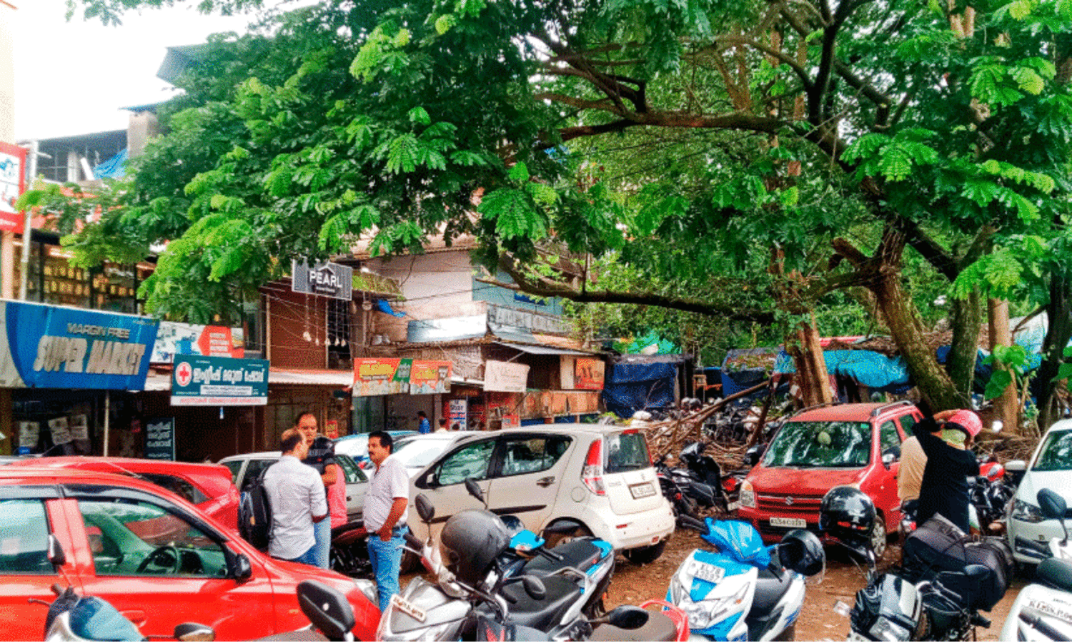 shade tree in parking area