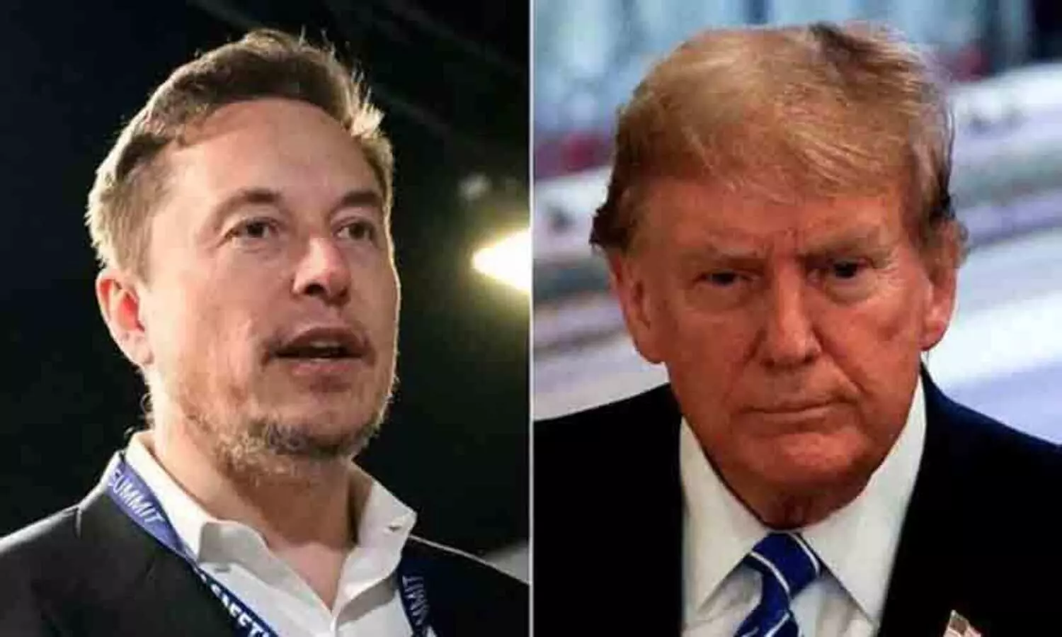 Elon musk, Donald trump