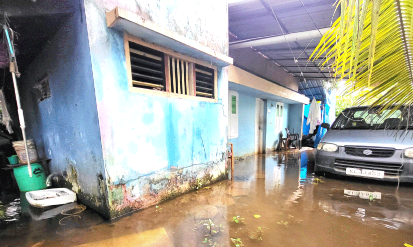 waterlogging waterlogging