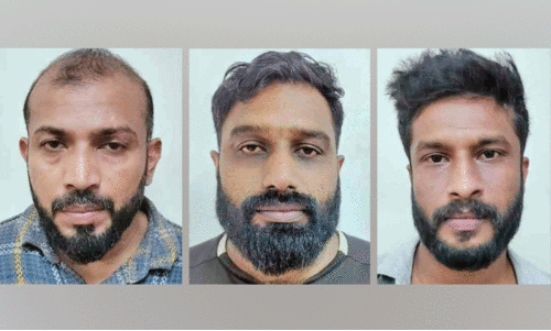 Shanub, Rahul, Rishad