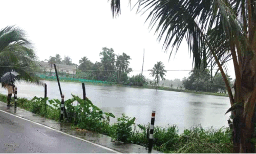 മത്സ്യക്കുളം മത്സ്യക്കുളം