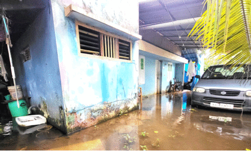 waterlogging waterlogging