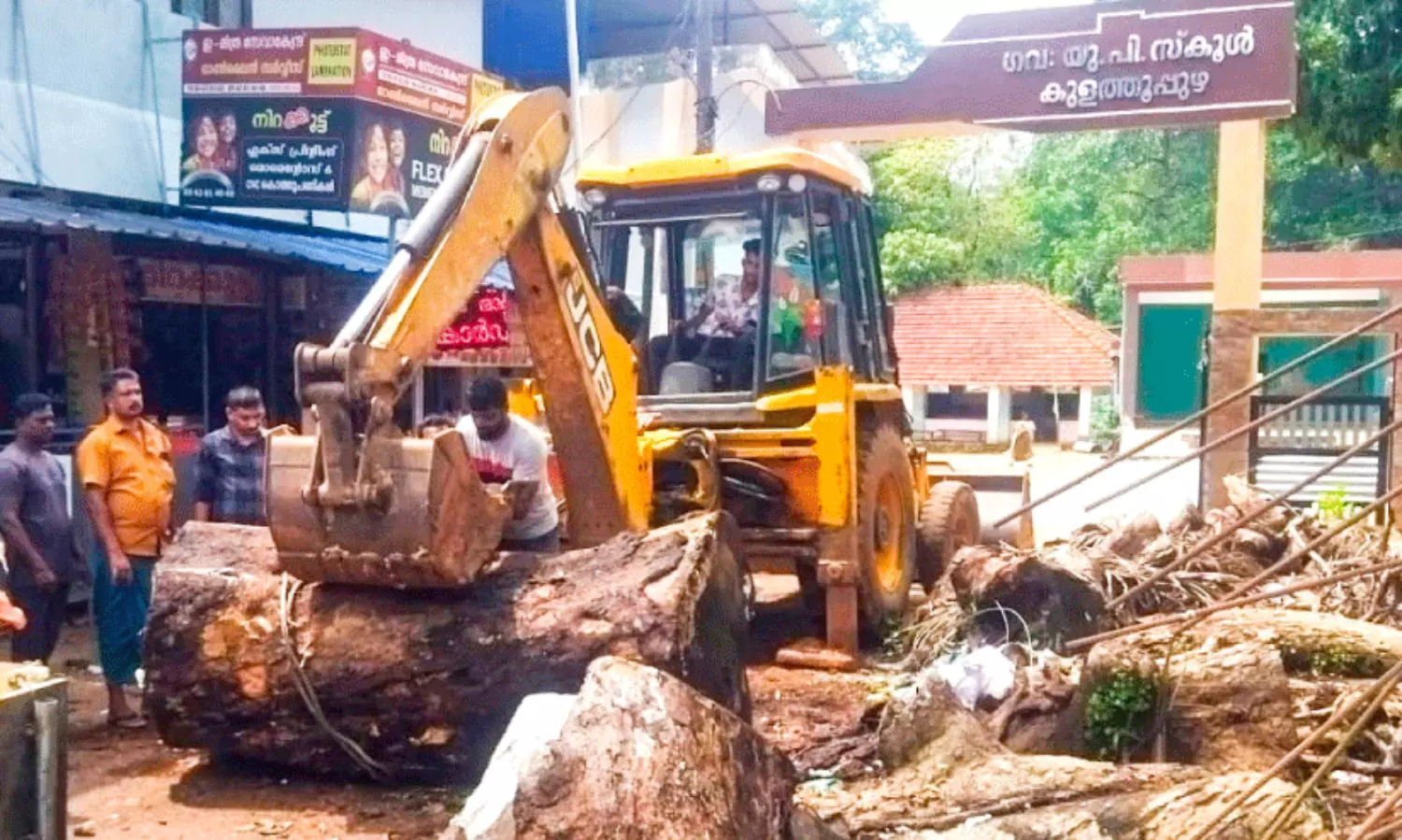 Wooden logs moved with the help of JCB