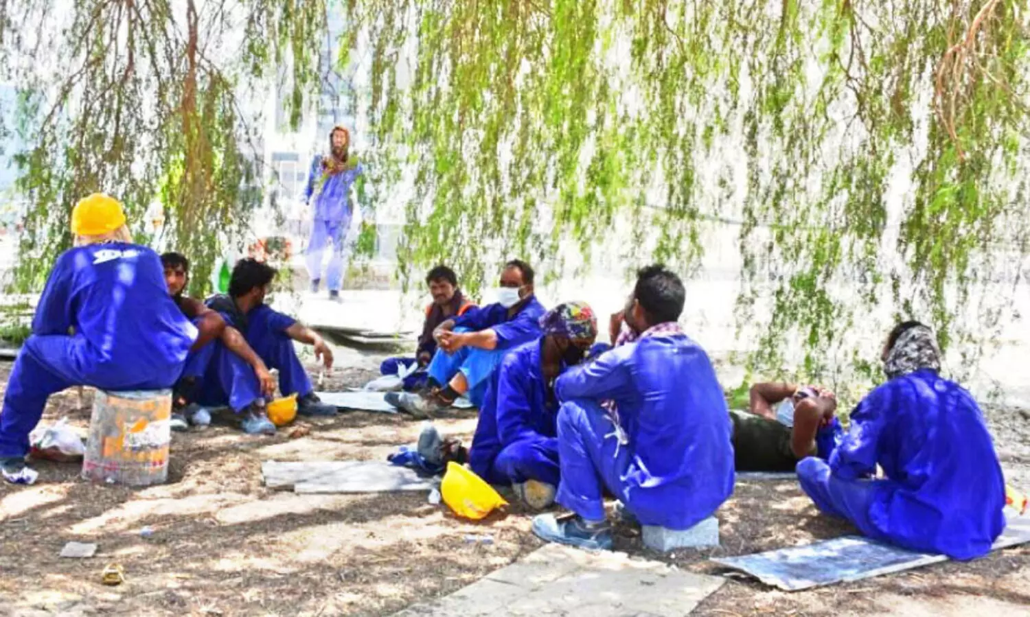 ഉ​ച്ചവി​ശ്ര​മ നി​യ​മം പ്രാ​ബ​ല്യ​ത്തി​ൽ: തൊ​ഴി​ലാ​ളി​ക​ൾ ഇ​നി ക​രു​ത​ലി​ന്‍റെ ത​ണ​ലി​ൽ